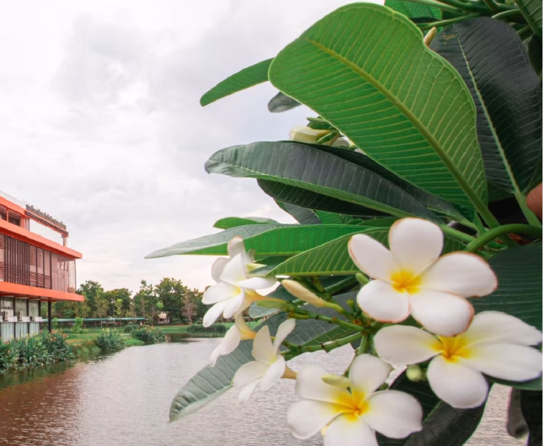 สรุปผลการจัดซื้อจัดจ้างหรือการจัดหาพัสดุ ประจำปีงบประมาณ พ.ศ. 2568